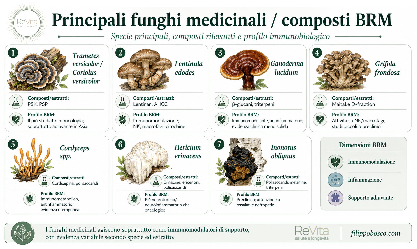 Micoterapia: i principali funghi medicinali